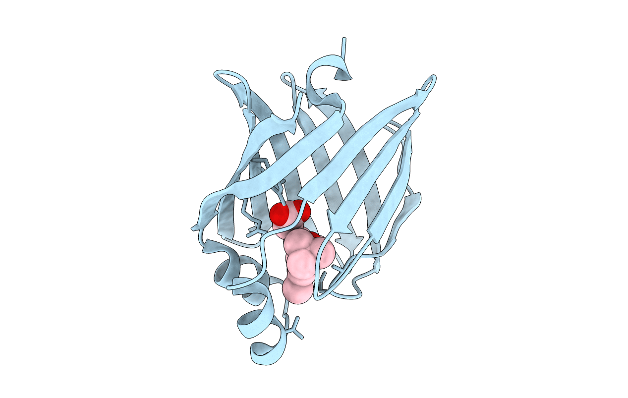 7FBM image