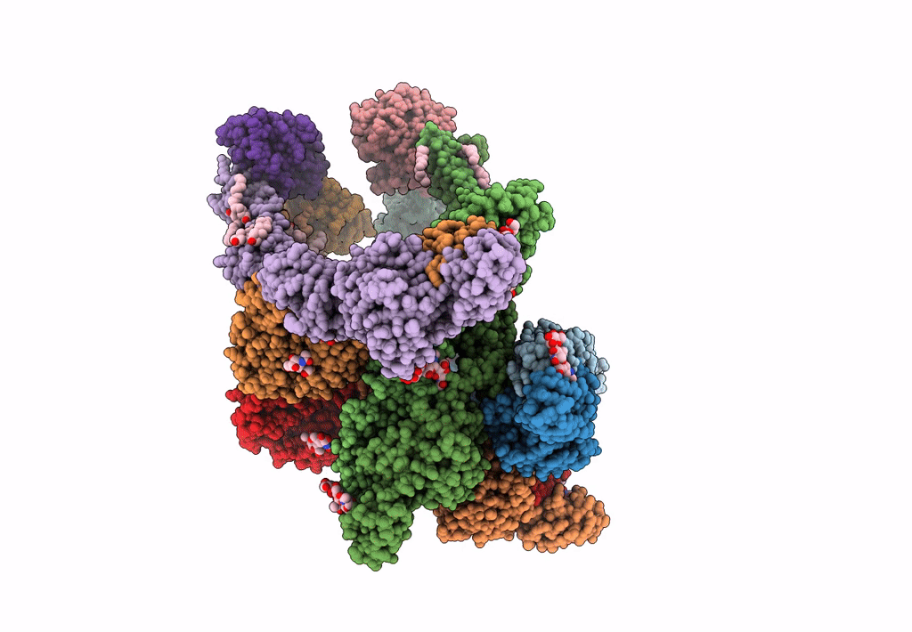 7FD2 image