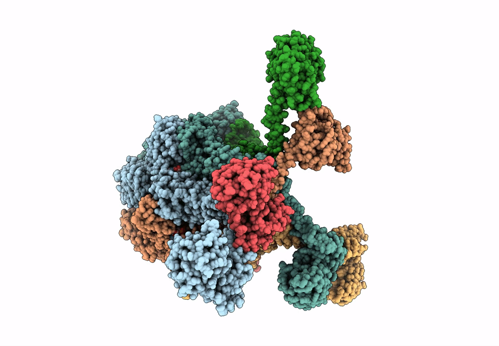 7FD4 image