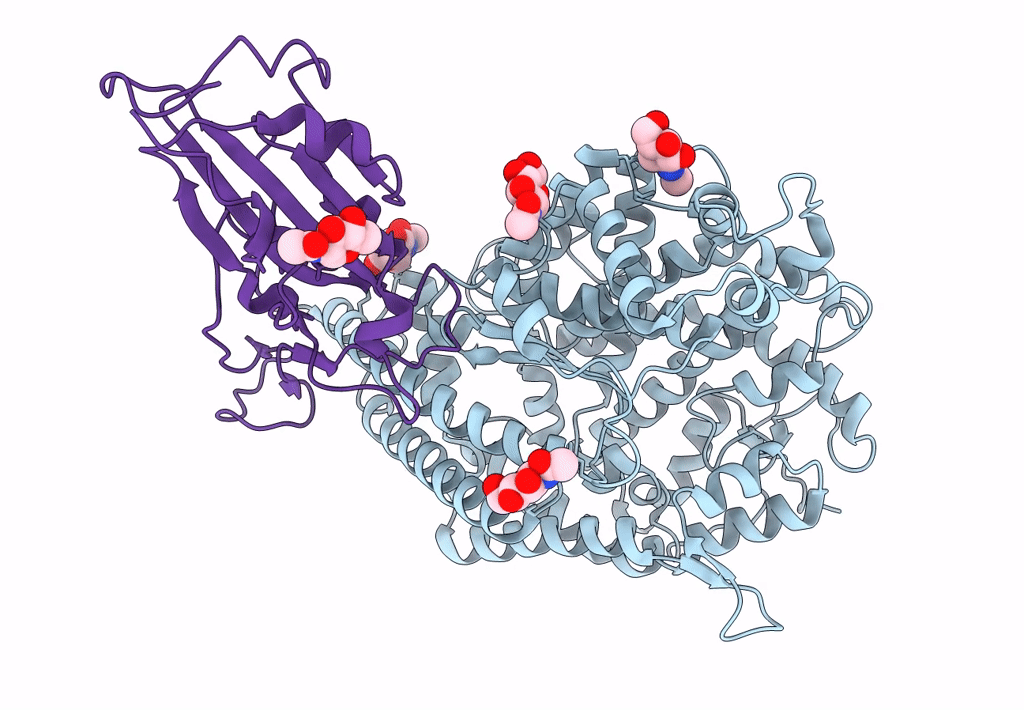 7FDG image