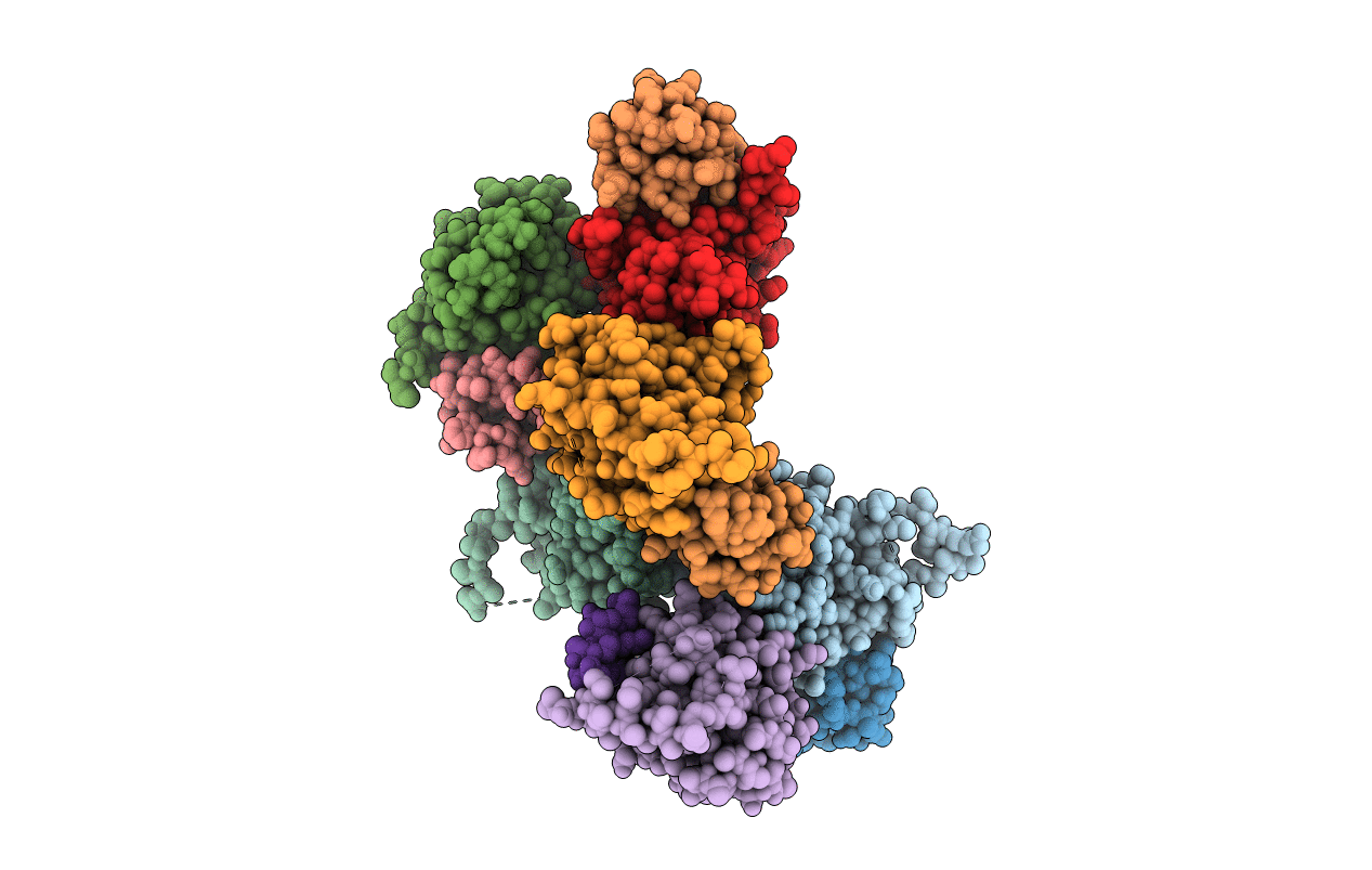 7FDL image