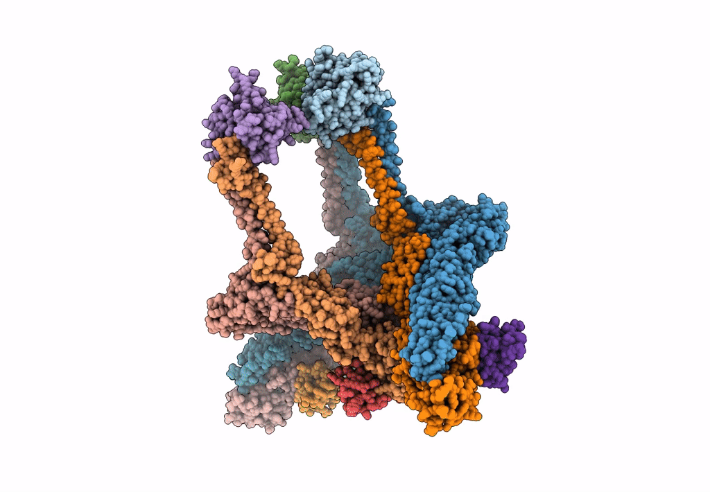 7FFL image