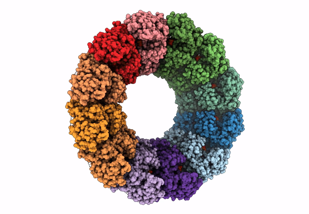 7FGG image