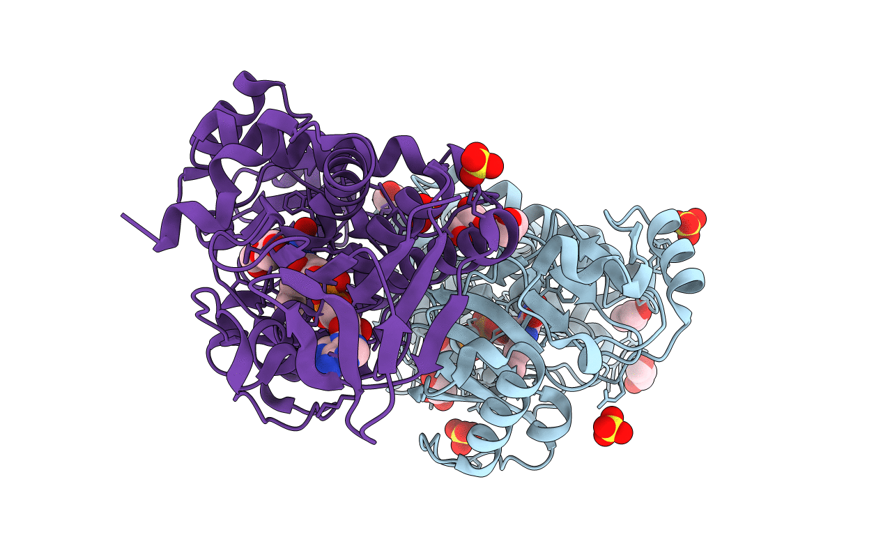 7FGP image