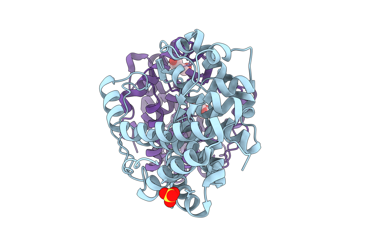7FHX image