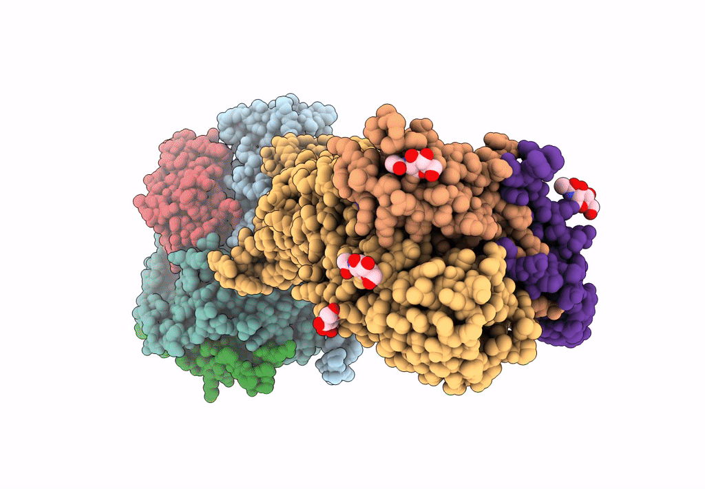 7FIG image