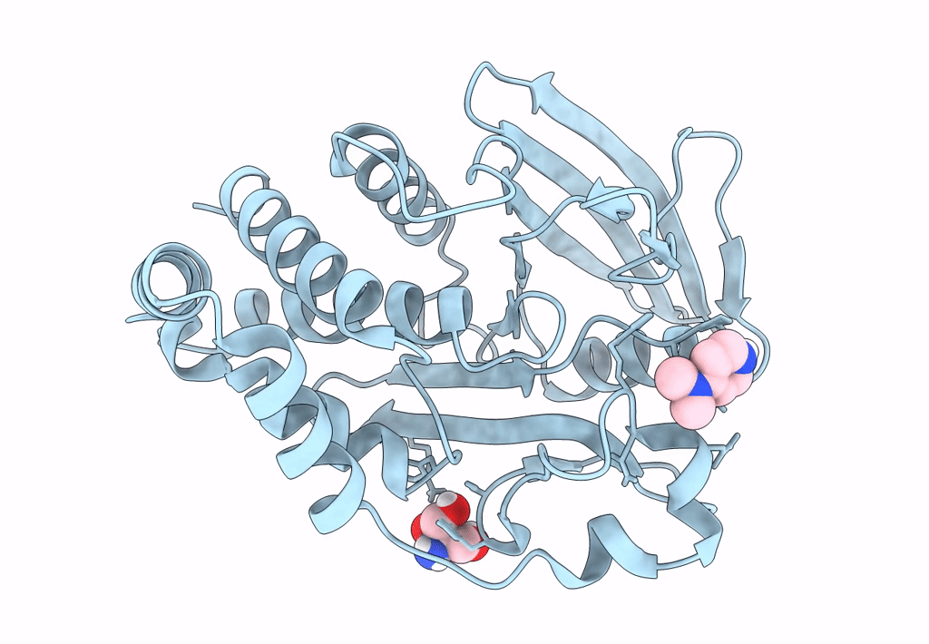 7FQV image