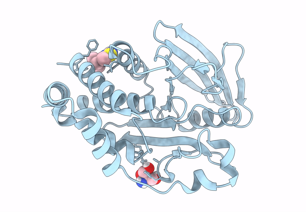 7FRG image