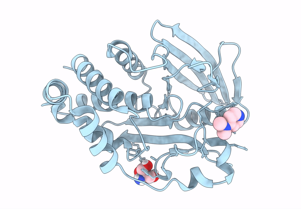 7FRH image