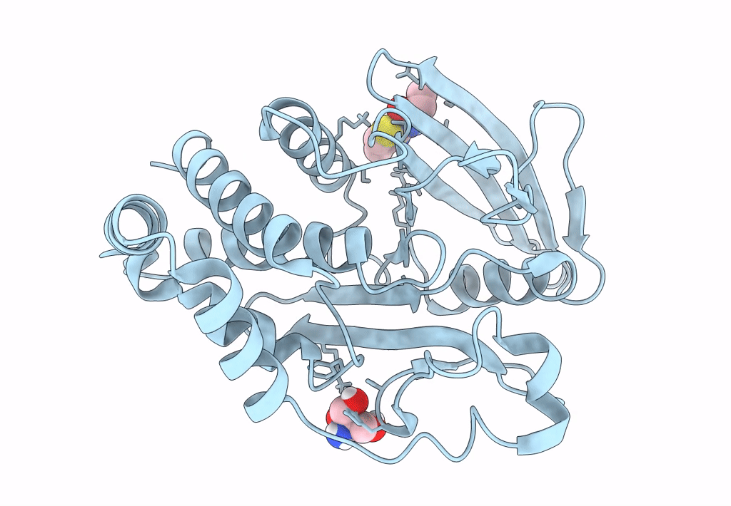 7FRK image