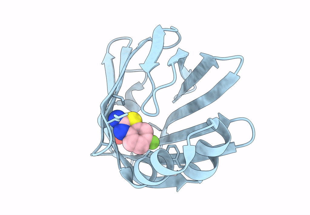 7G03 image