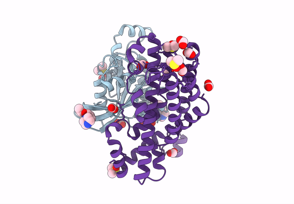 7G81 image