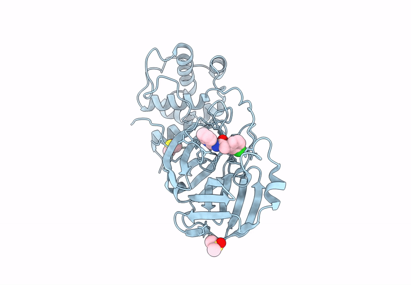 7GDD image
