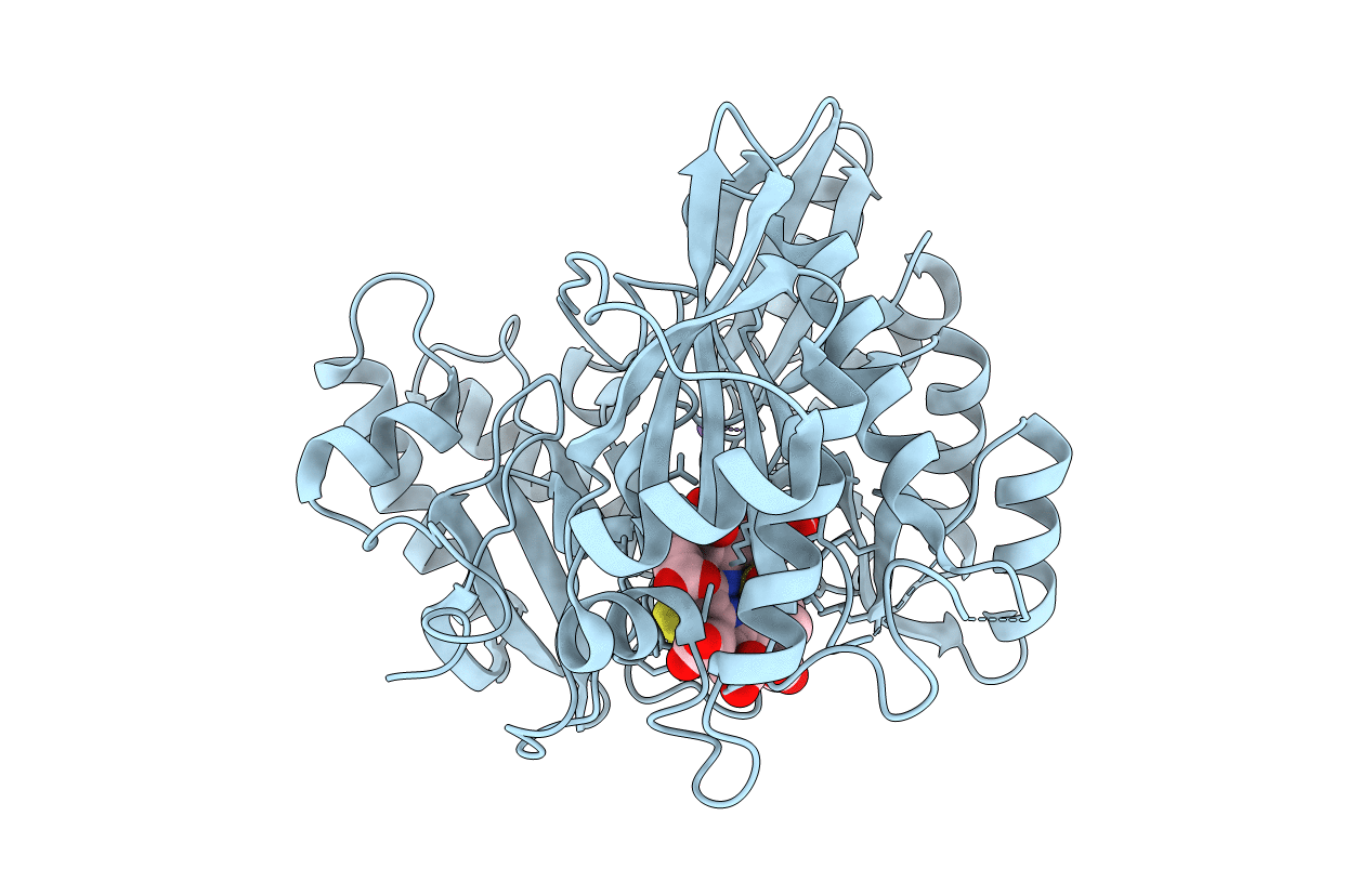 7GEP image
