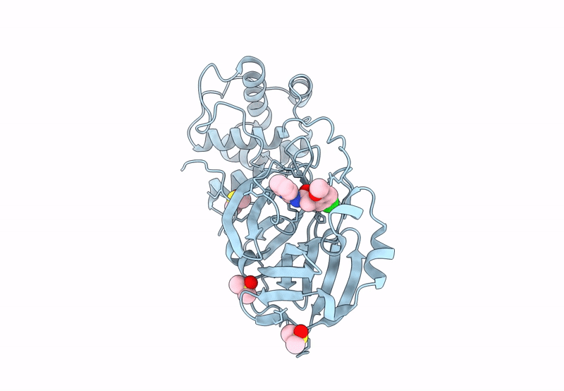 7GFA image