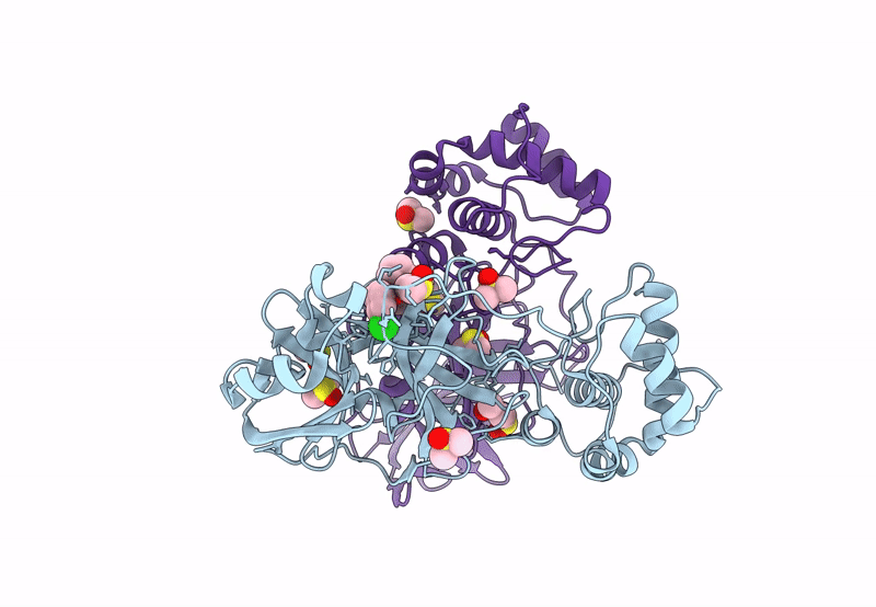 7GLP image