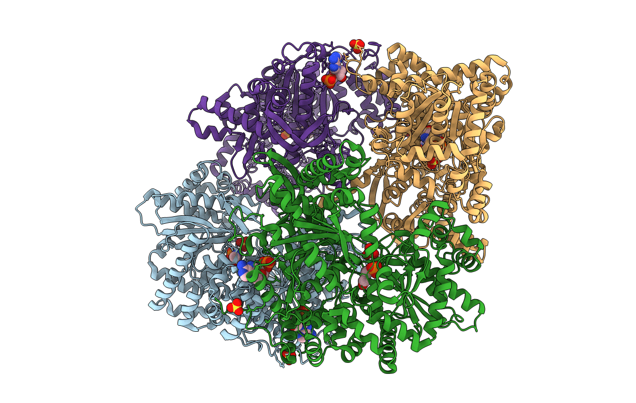 7GPB image