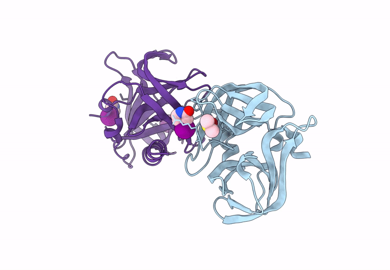 7GPW image