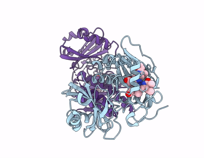 7GRB image