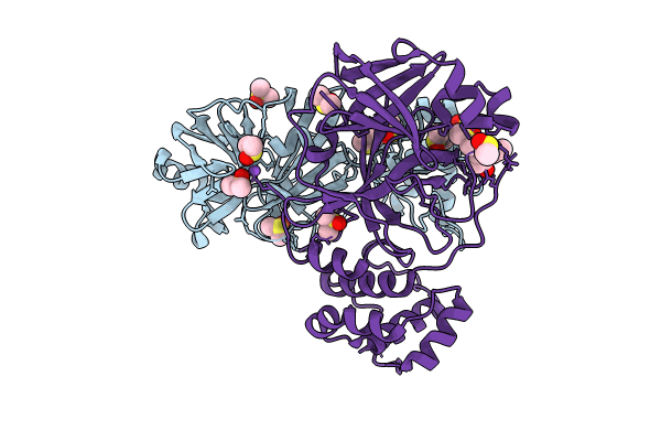 7GRX image