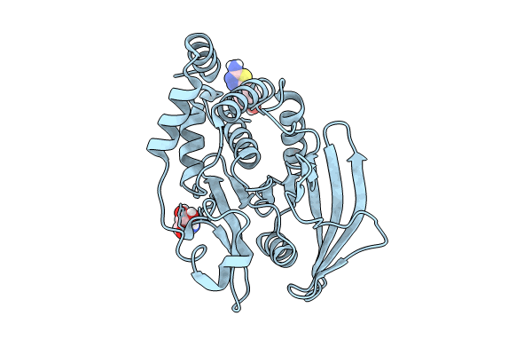 7GSD image