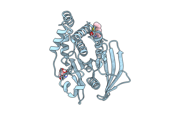 7GSF image