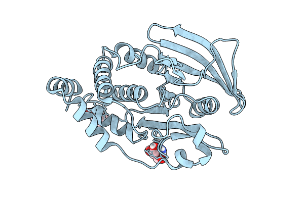 7GTF image