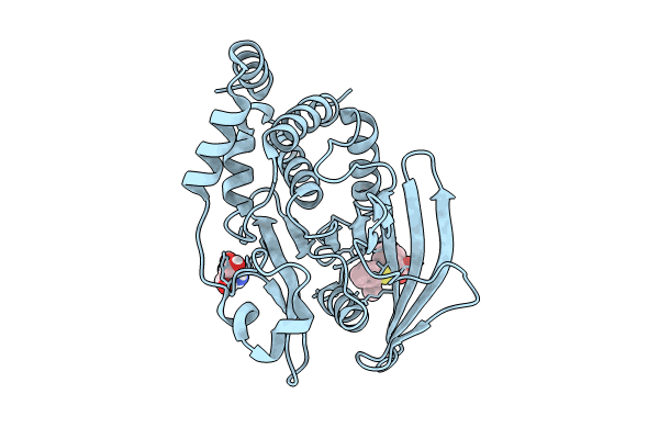 7GTU image