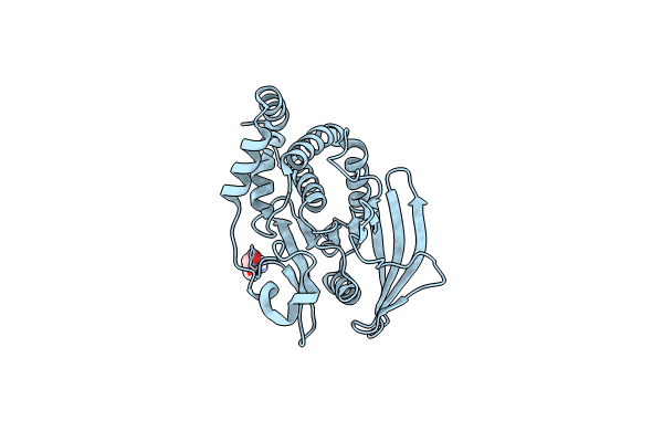 7GTW image