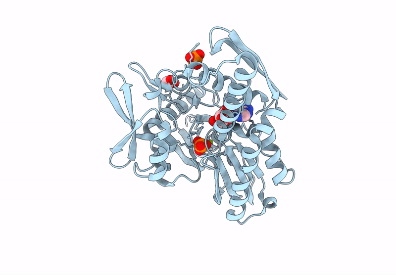 7GYD image