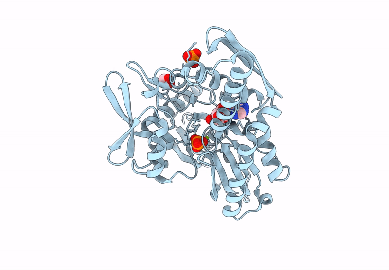 7GYE image