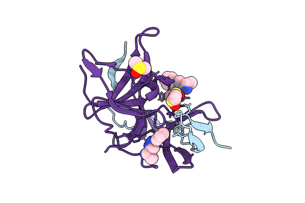 7H2E image