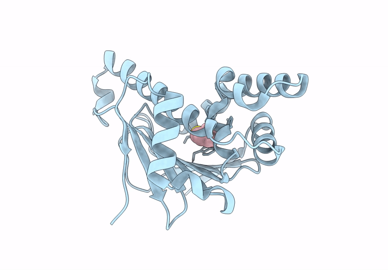 7H9N image