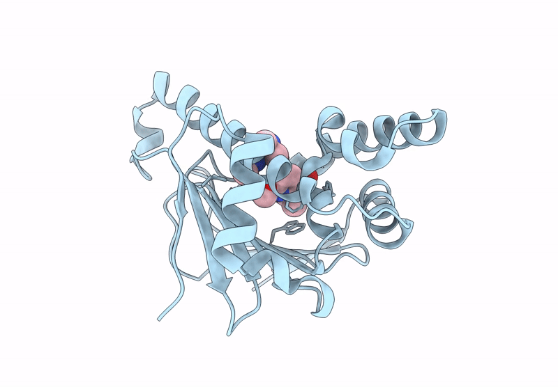 7HB2 image