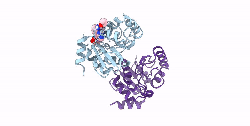 7HC4 image