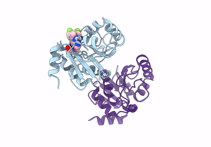 7HCA image