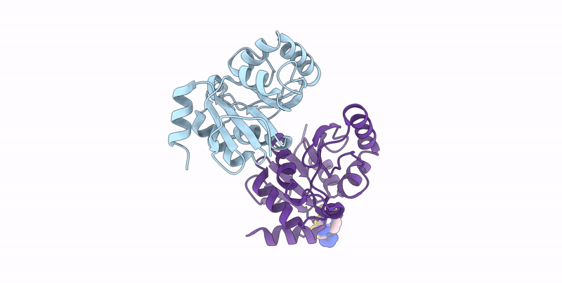 7HCB image