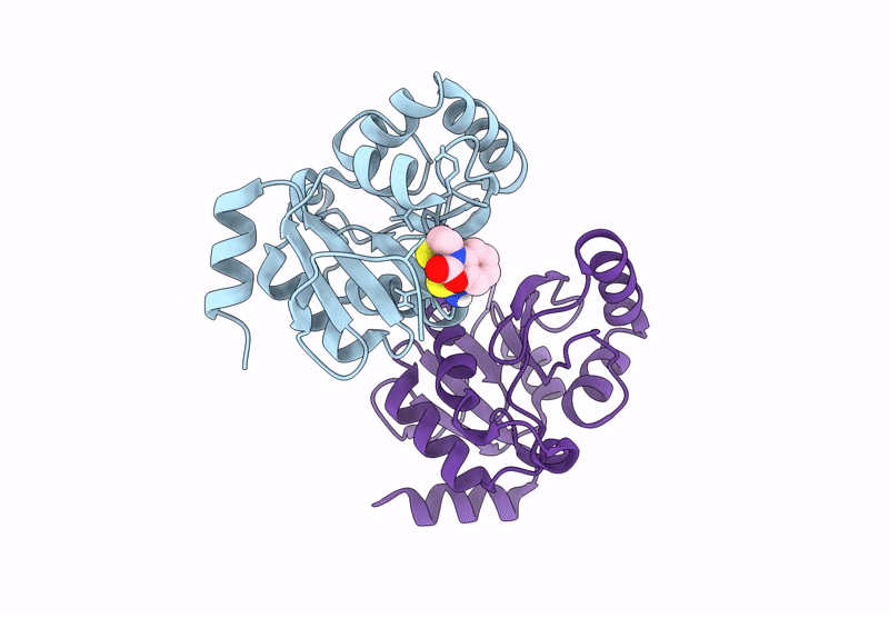 7HCC image