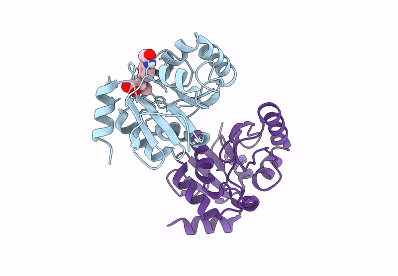 7HCD image