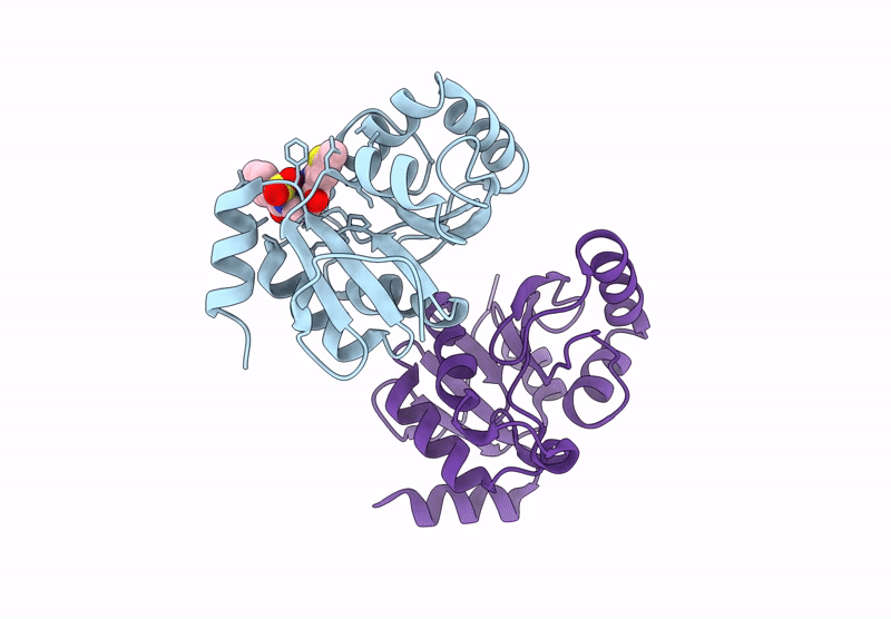 7HCL image