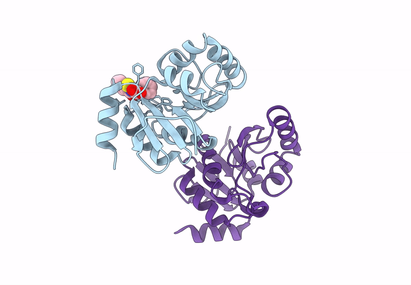 7HCN image