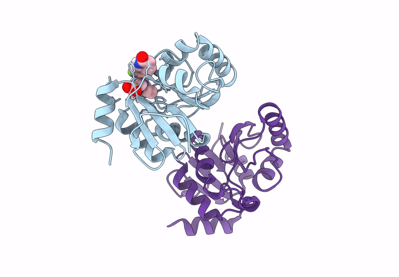 7HCP image