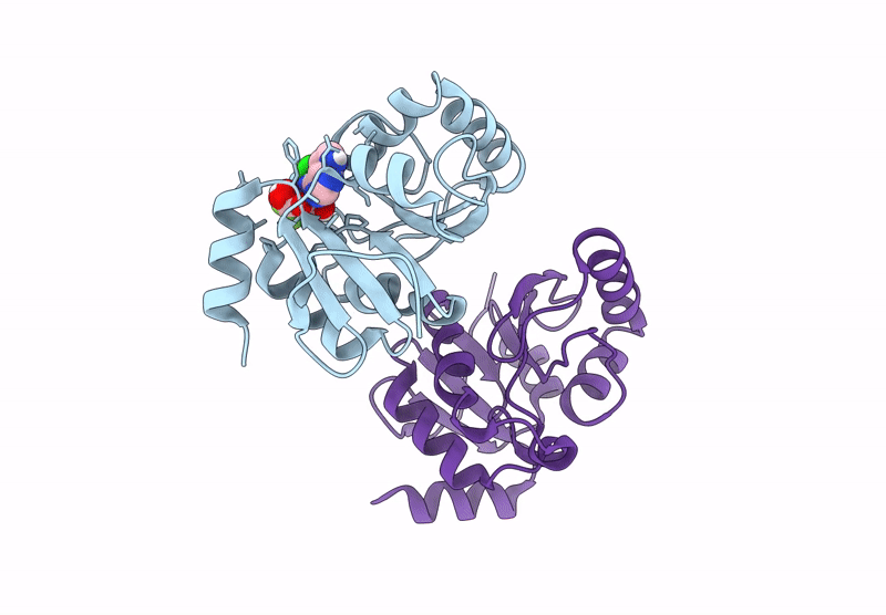 7HDK image