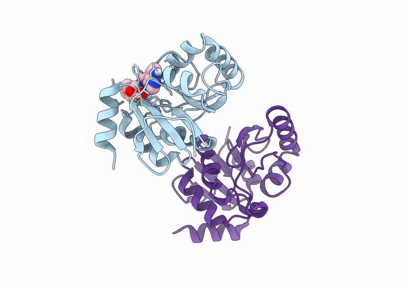 7HDL image