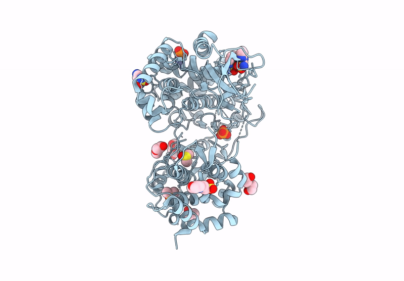 7HKX image