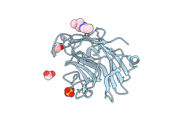 7HLG image