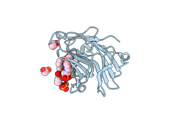 7HLH image