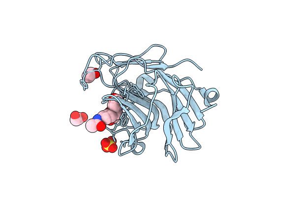 7HNO image