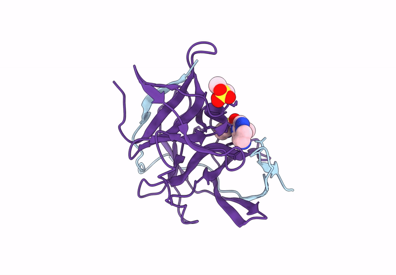 7HP3 image