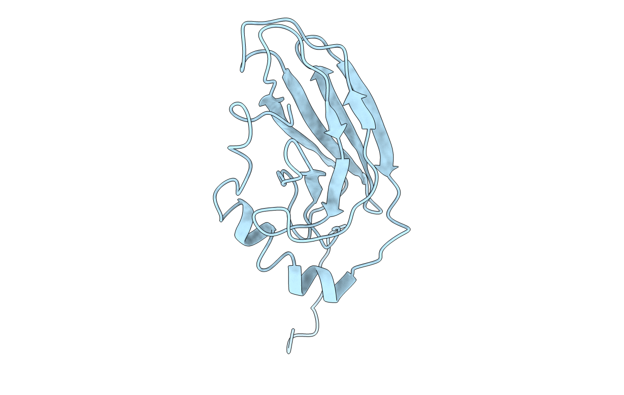 7HSC image